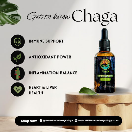 Chaga - 50ml Ultrasonic Assisted Dual Extract Tincture