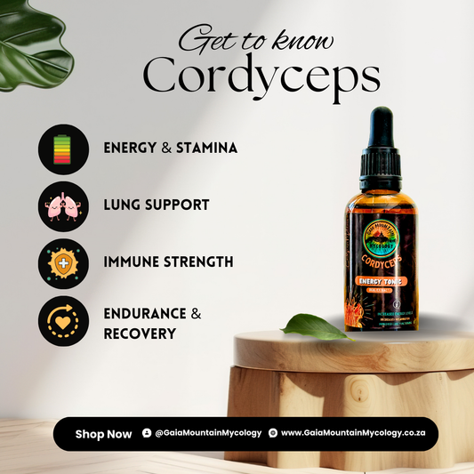 Cordyceps - Ultrasonic Assisted Dual Extract Tincture (Various sizes)