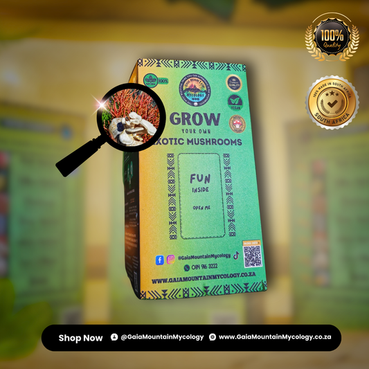 Premium Grow Kit - White Oyster